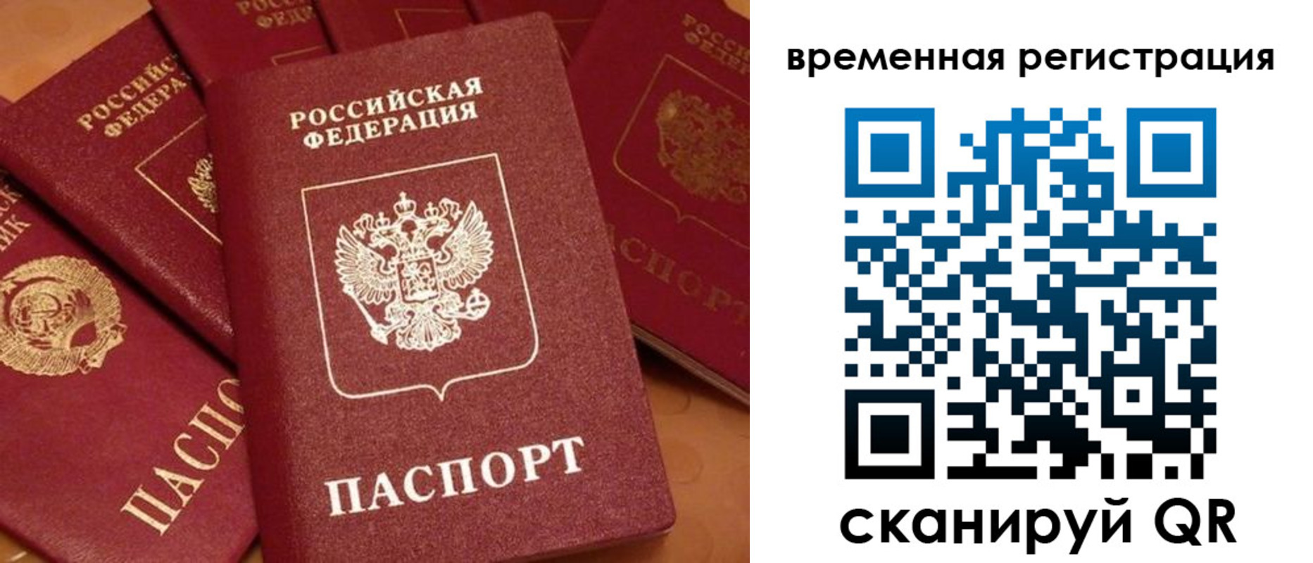где прописаться в Светлогорске
