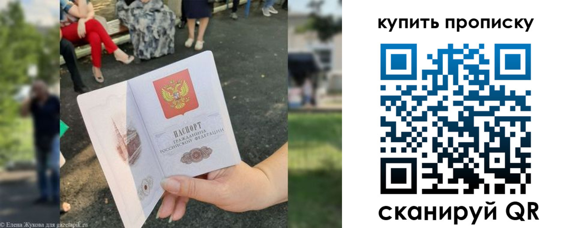 прописка от собственника в Светлогорске