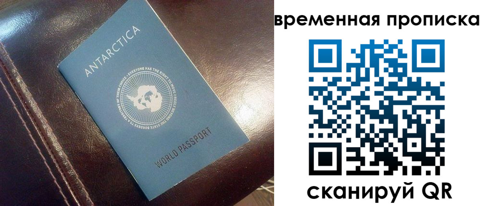 прописка паспорт в Светлогорске