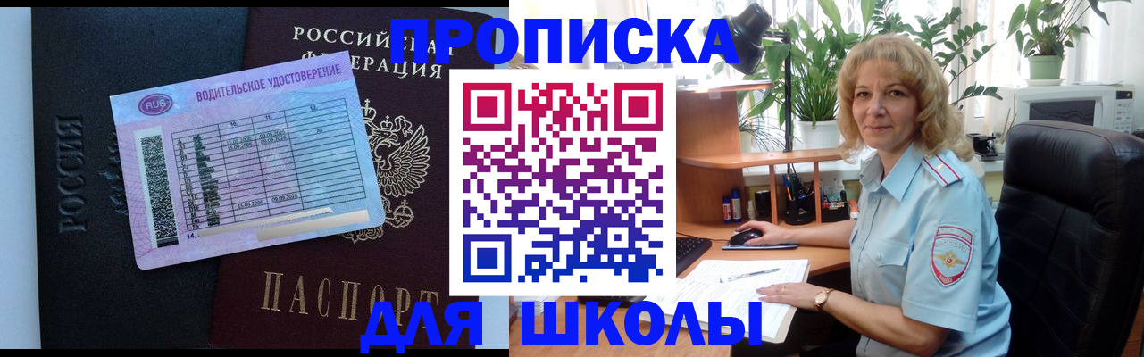где прописаться в Светлогорске